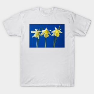 Narcissus  &#39;W.P. Milner&#39;   Division 1  Trumpet  Daffodil T-Shirt